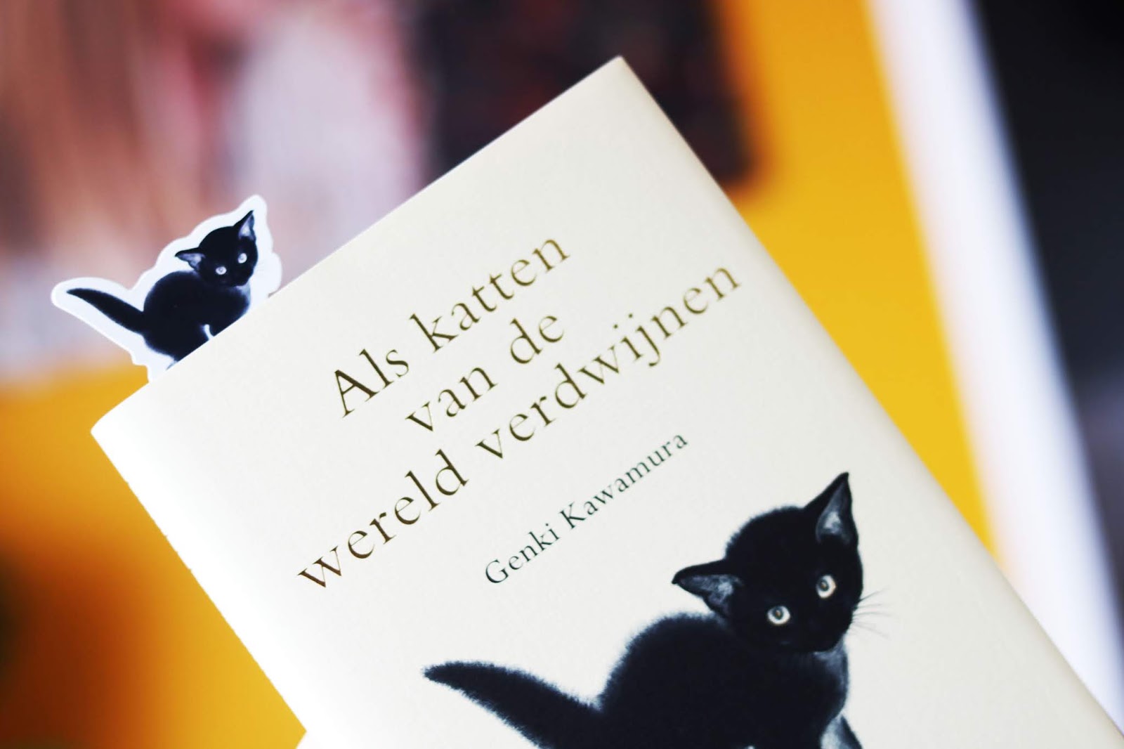 Leesvoer | Als katten van de wereld verdwijnen – Genki Kawamura