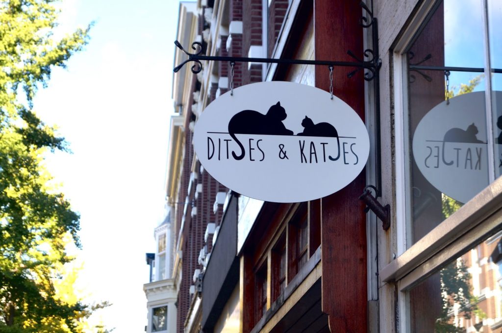 Hotspot | Kattencafe ditjes & katjes Den Haag.