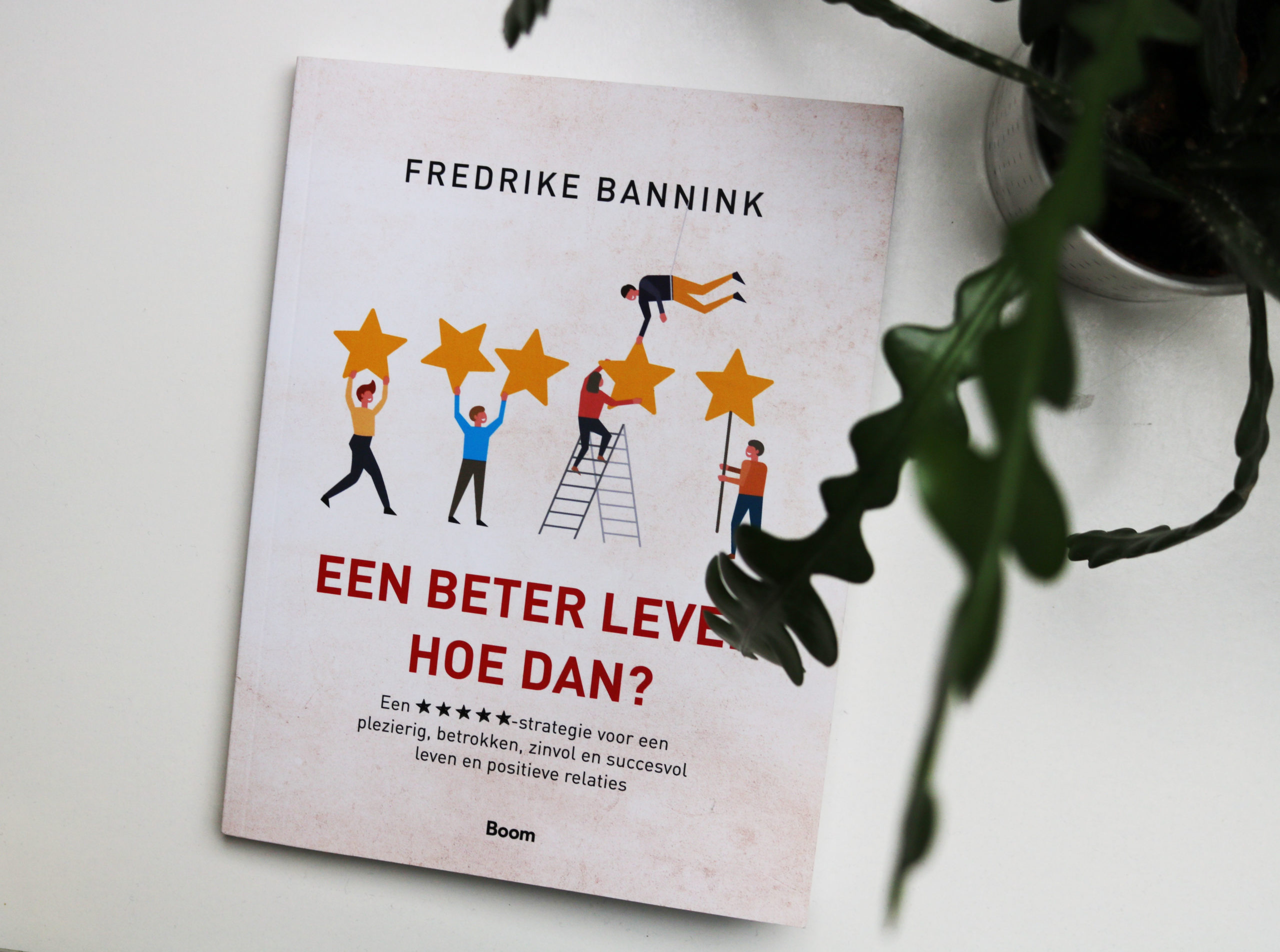 Leesvoer | Een beter leven, hoe dan? – Fredrike Bannink